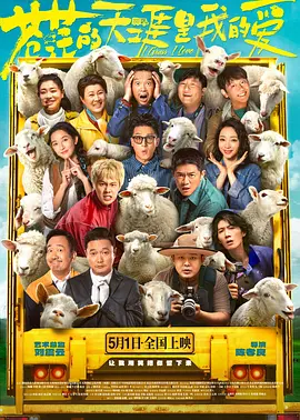 视频播放失败是什么原因